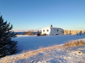 Bessastaðir Guesthouse